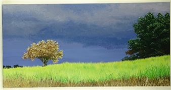 Dark Sky - Sophie Barnard