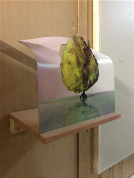 Mon chien pépite by Neil Beloufa, 2013