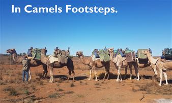 In Camels’ Footsteps - Gaffa Gallery