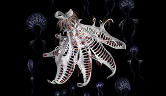 Jenny Crompton: Bloomtime - MARS Gallery 