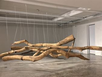 German Botero: Espacio Y Materia, Entre El Cielo Y La Tierra - La Cometa, Bogota