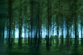 Paul Solberg: Stories - MM Fine Art, New York