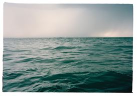 Shoreline: Stephen Inggs & Vanessa Cowling