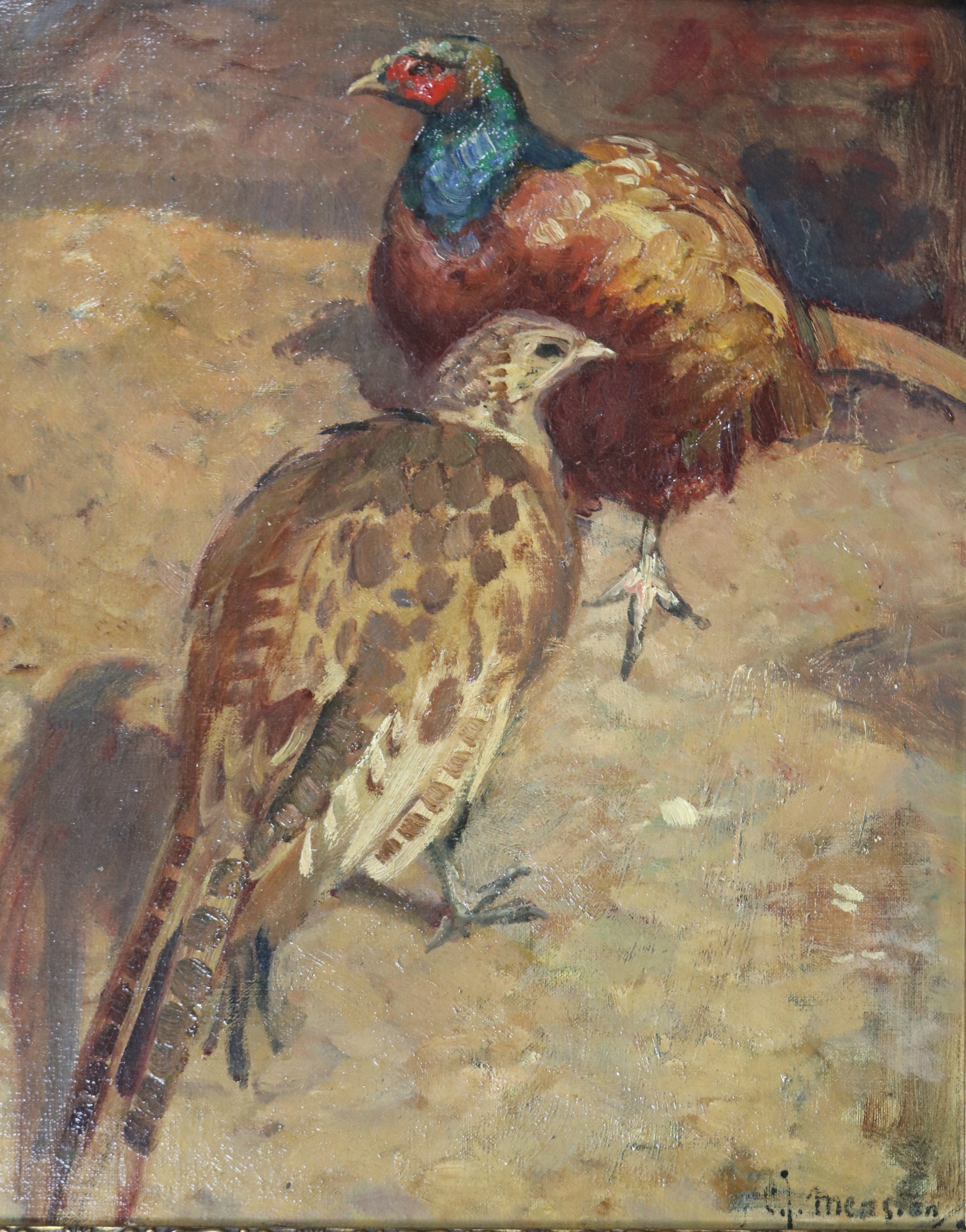 Een fazantenpaar by Cornelis Jan Mension