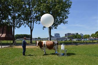 Neue Urbane Produktion - HALLE 14
