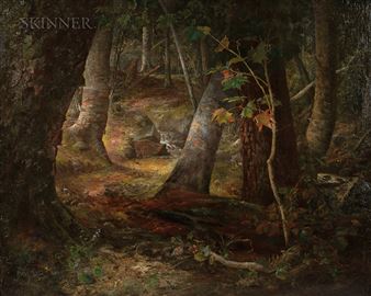 Forest Brook - Peter Fishe Reed