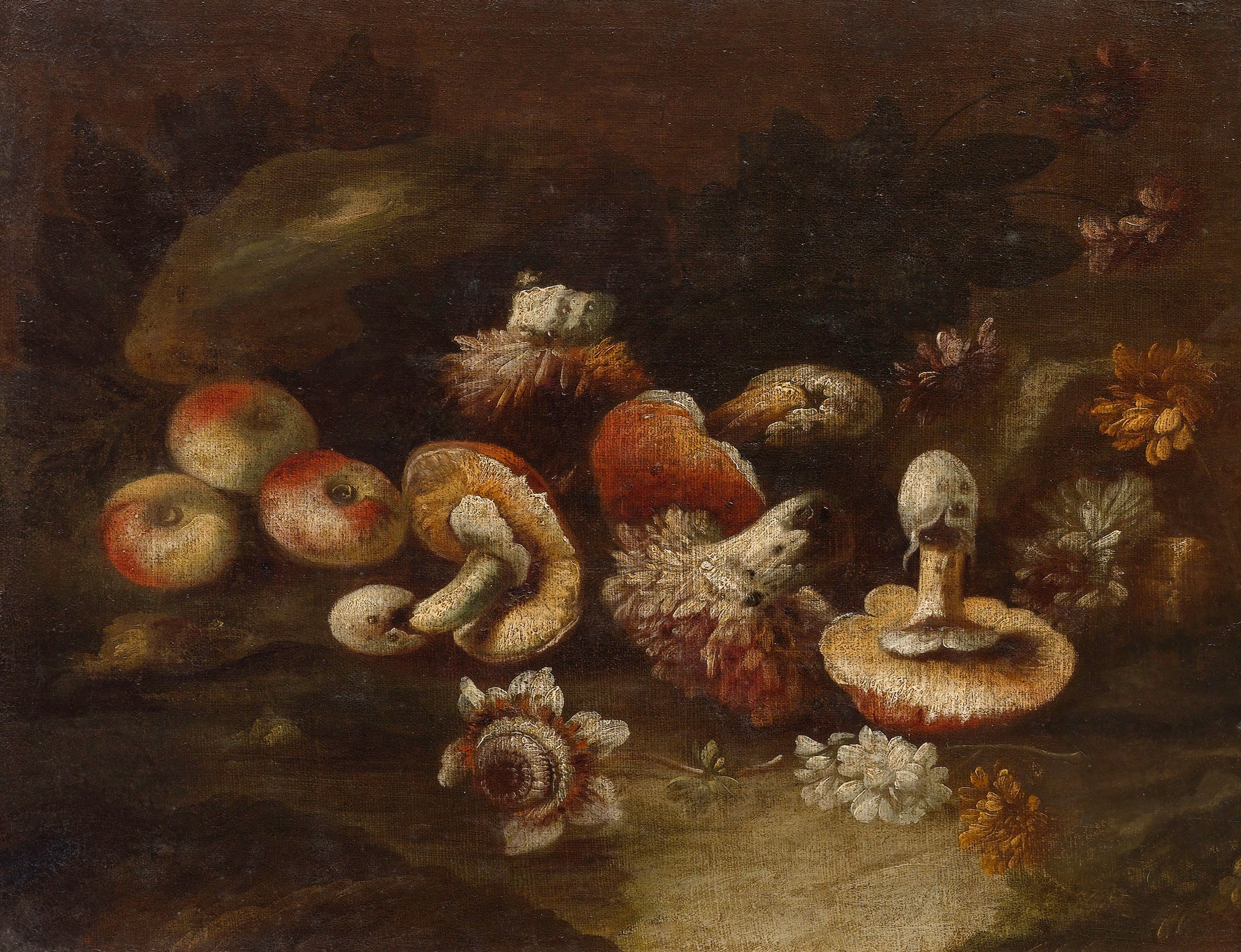 Still life with fungi by Neapolitan School, 18th Century, circa 1700
