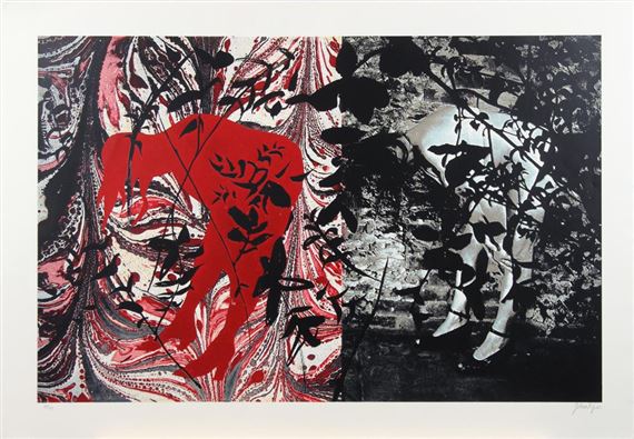 Eye and Camera: Red and Black by John Piper