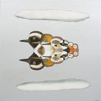 Icelandic Birds - Mirage XI - Helgi Thorgils Fridjónsson