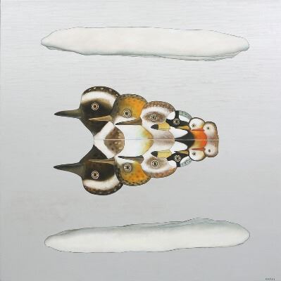 Icelandic Birds - Mirage XI by Helgi Thorgils Fridjónsson, 2007