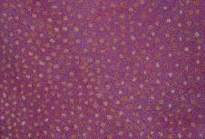 Painting on Country – Utopia Artists - Japingka Gallery