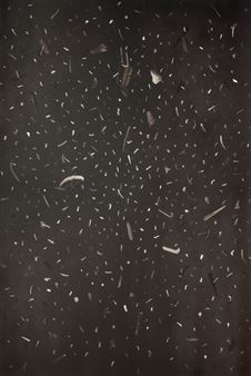 Untitled (Debris - from Bandung Ink Collages series) - Gary Ross Pastrana