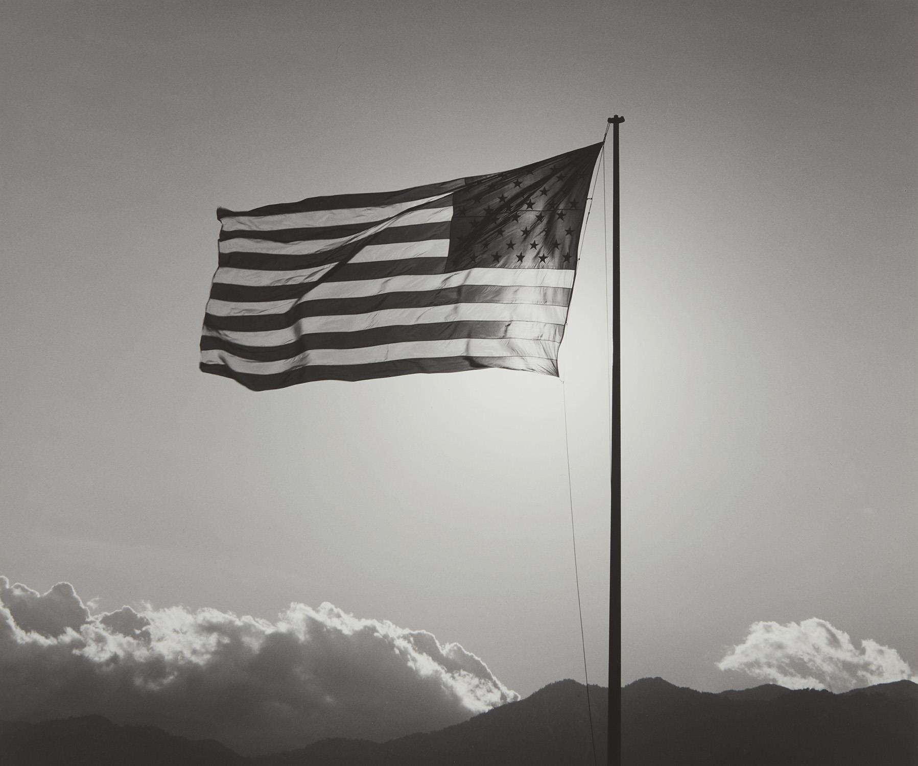 Artwork by Robert Mapplethorpe, American Flag, Made of Gelatin silver print