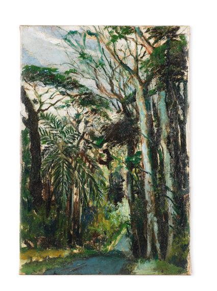 A forest road