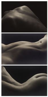 Three Still Life Images - Kenro Izu
