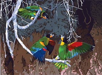 Dynamic Designs: The Serigraphs of Anne Senechal Faust - Leigh Yawkey Woodson Art Museum