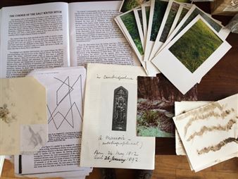 Saunter Trek Escort Parade (S.T.E.P….) - Flux Factory Inc.