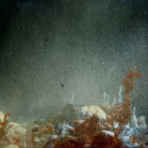 Hicham Berrada: Sahwha / Resurgence - Zuckerman Museum of Art