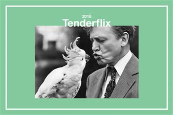 Tenderflix 2018 - Tenderpixel Gallery