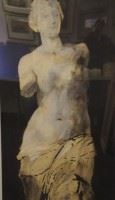 Framed Venus de Milo - Paul Pribila