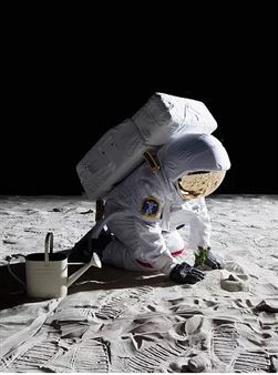 Gardening on the Moon - George Lawson Gallery