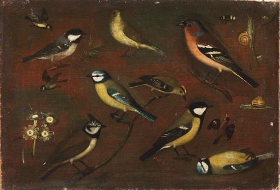 STUDIES OF BIRDS by Italian School, 18th Century
