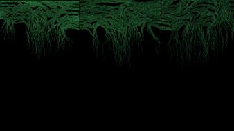 Golnaz Fathi and Lan Zhenghui: Crossfades and Drawn Forms - Pearl Lam Galleries, Singapore (Gillman Barracks)