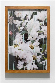 If but a sunbeam strikes too warm - Melanie Flood Projects