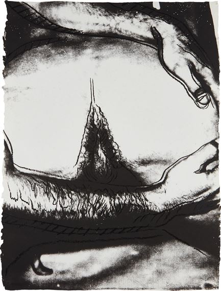 Andy Warhol Sex Parts: one plate (1978) MutualArt.