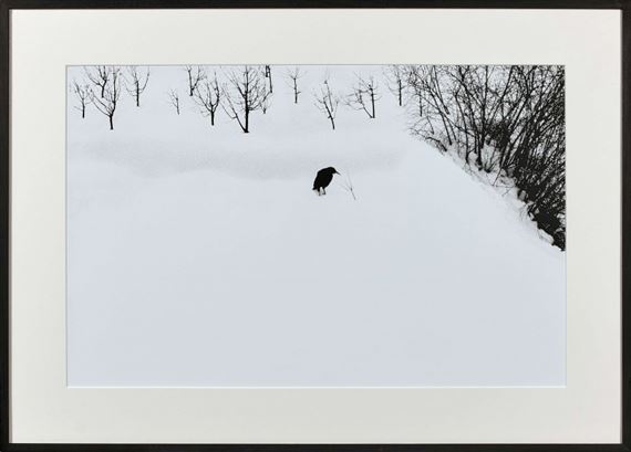 Abbas Kiarostami | SNOW WHITE (2004) | MutualArt