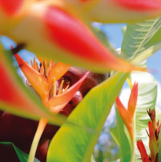 0.10 Reloaded Avantgarde 2018  - Knust Kunz, Munich (Ludwigstrasse)