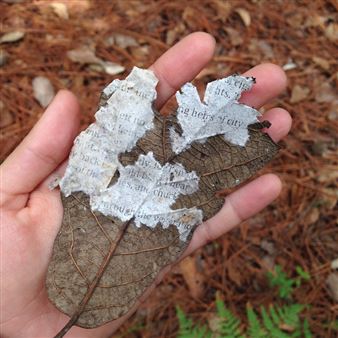 So close, far away - Sector 2337