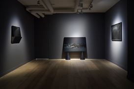 Exhibition Includes a New Body of Photographic Works by Melanie Manchot