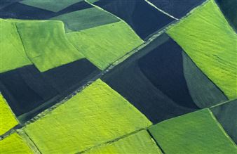 Cheryl Dimont: Looking Closer - Tag Gallery