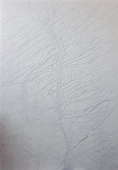 Giuseppe Penone: Sculptures, reliefs, dessins - Galerie Alice Pauli