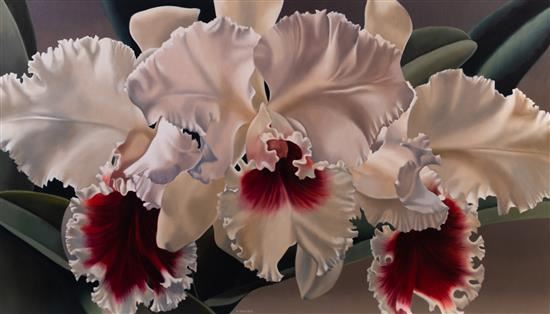 White Orchids with Crimson by Winifred Godfrey