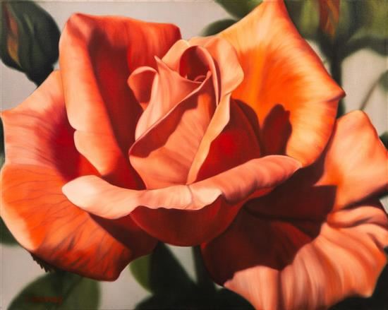 Flower by Winifred Godfrey