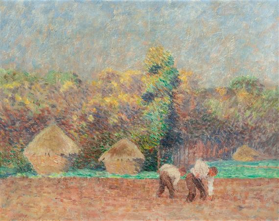 Working in the field