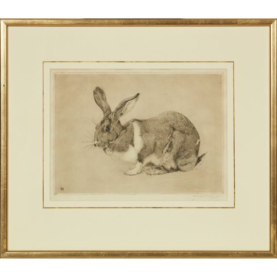 Winifred Austen | 6 WORKS: RABBIT & FIVE FURTHER ETCHINGS | MutualArt