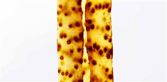 Karolina Nieduza & Elena Hutchcroft: I know where I am going - Centrespace Gallery