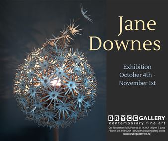 Jane Downes - Bryce Gallery