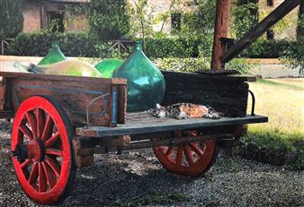 TUSCAN SIESTA - Janusz Kulikowski