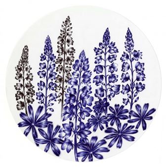 Lupins - Esther Cohen