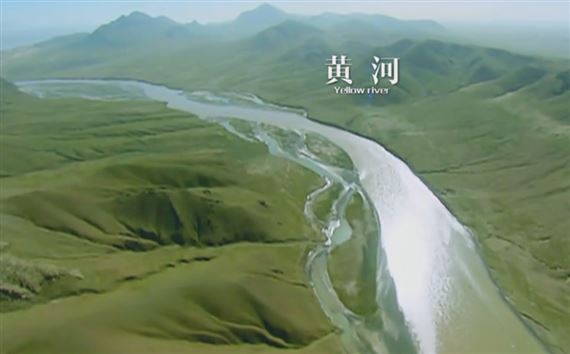 Melody of Motion: Works of Macular Art Collective - MOCA Yinchuan