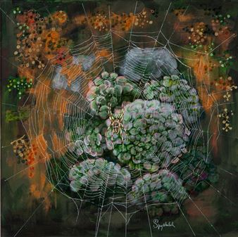 Autumnal spider - Malgorzata Spychalska