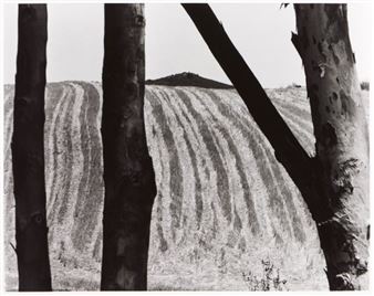 UNTITLED - José Manuel Rodrigues