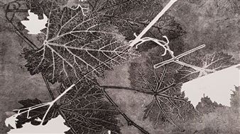 South West Printmakers: Place interrupted - Bunbury Regional Art Galleries