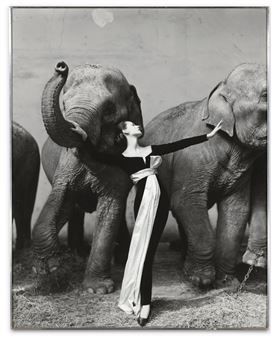 DOVIMA WITH ELEPHANTS, EVENING DRESS BY DIOR, CIRQUE D'HIVER, PARIS - Richard Avedon