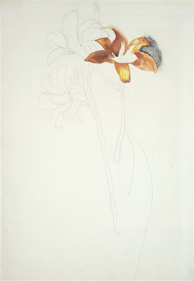 Three Lilies by Charles Demuth, 1926