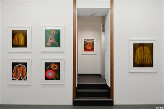 Ever-Evolving Worldwide Japanese Artists Right Now! - Whitestone Gallery, Tokyo